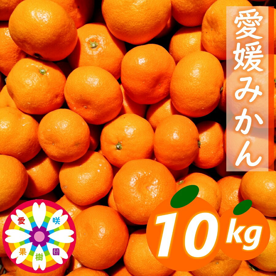 【ふるさと納税】【先行受付】「 愛媛 みかん 」約10kg《 愛咲果樹園 》【71-70】ふるさと納税 みかん ミカン 柑橘 くだもの 果物 フルーツ 温州 甘い 常温 デザート 産地直送 産直 愛媛 YWTS043