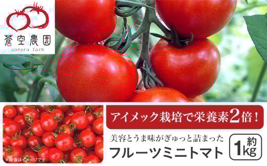 
            フルーツミニトマト1kg【 トマト とまと 野菜  甘い 人気 おすすめ 茨城県 下妻市 】[SZR]
          