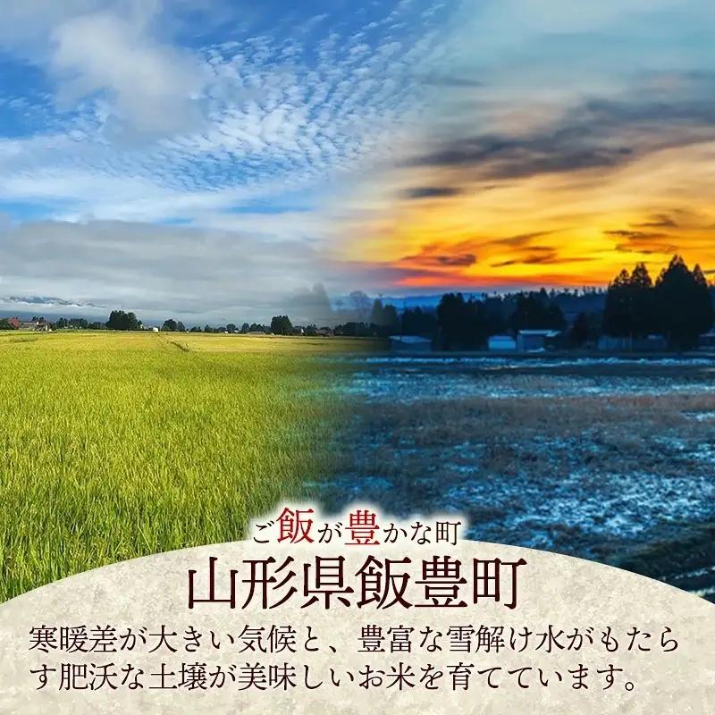 人気のブランド米 はえぬき 白米 10kg 令和7年産 - 山形県 飯豊町産 米 精米 銘柄 ブランド米 田園サービスいいで【価格改定X】