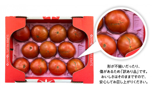 《 2026年収穫分 先行予約 》 訳あり 糖度9度以上 スーパーフルーツトマト 小箱 約800g × 1箱 (7～20玉/1箱) フルーツトマト ブランドトマト 野菜 ギフト 贈答 [BC042sa