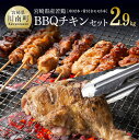 【ふるさと納税】※レビューキャンペーン※ 宮崎県産若鶏 BBQチキンセット(バラエティセット串8本×4P/骨付きモモ×5本）タレ付き!肉 鶏肉 串 骨付き バーベキュー 九州産 おうち時間 おうちごはん 送料無料 川南町 D06903