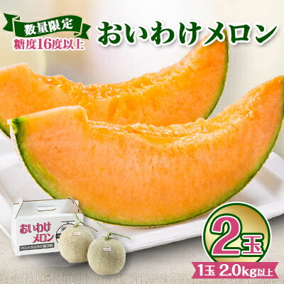 【ふるさと納税】【2025年発送】おいわけメロンパック 糖度16度以上 2.0kg以上×2玉(数量限定)【1102220】