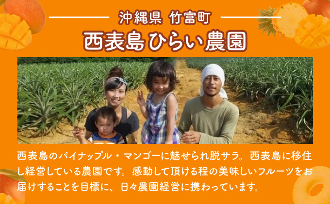 マンゴー 先行予約 沖縄 アップルマンゴー 約4kg 8玉~12玉 西表島 ひらい農園 2026年 発送 果物 フルーツ デザート 完熟 濃厚 027-a027_2026