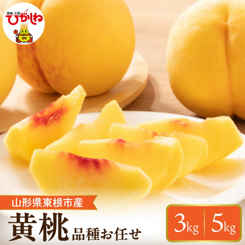 【ふるさと納税】採れたて黄桃 (品種お任せ) 【内容量が選べる】(3kg / 5kg ) |もも 桃 黄桃 フルーツ 果物 くだもの 産地直送 期間限定 特産品 お取り寄せ グルメ 旬 東北 送料無料 山形県 東根市