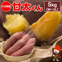 【ふるさと納税】【先行予約・期間限定】大分県産かんしょ 甘太くん 5kg M・L・2L さつまいも さつま芋 サツマイモ 紅はるか べにはるか 焼き芋 九州産 中津市 国産 送料無料【発送は2024年11月下旬〜2025年4月下旬】