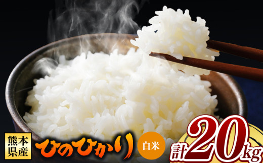 【 令和7年産 】  熊本県産 ひのひかり 白米 20kg | 小分け 5kg × 4袋  熊本県産 特A獲得品種 米 白米 ごはん 銘柄米 ブランド米 単一米 人気 日本遺産 菊池川流域 こめ作り ごはん ふるさと納税 返礼品