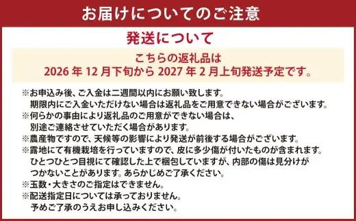 【先行受付】特別栽培スイートスプリング 10kg サイズミックス スイートスプリング みかん フルーツ 果物 果実 特別栽培 九州 熊本県産【2026年12月下旬から2027年2月上旬発送予定】