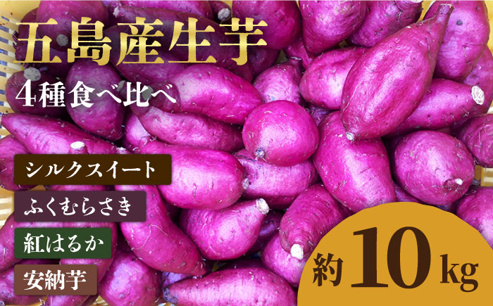 【2025年1月先行予約】五島産生芋10kg 安納芋 シルクスイート 紅はるか ふくむらさき いも  和菓子 スイーツ 五島市/芋蔵林 [PDO008]