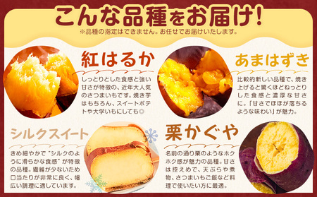 茨城県産 さつまいも こだわり農家の訳ありさつまいも 茨城県結城市産 サイズ不選別 品種おまかせ 約10kg 《1月上旬-3月上旬頃出荷》茨城県 結城市 ご家庭用 お芋 訳あり 紅はるか シルクスイー