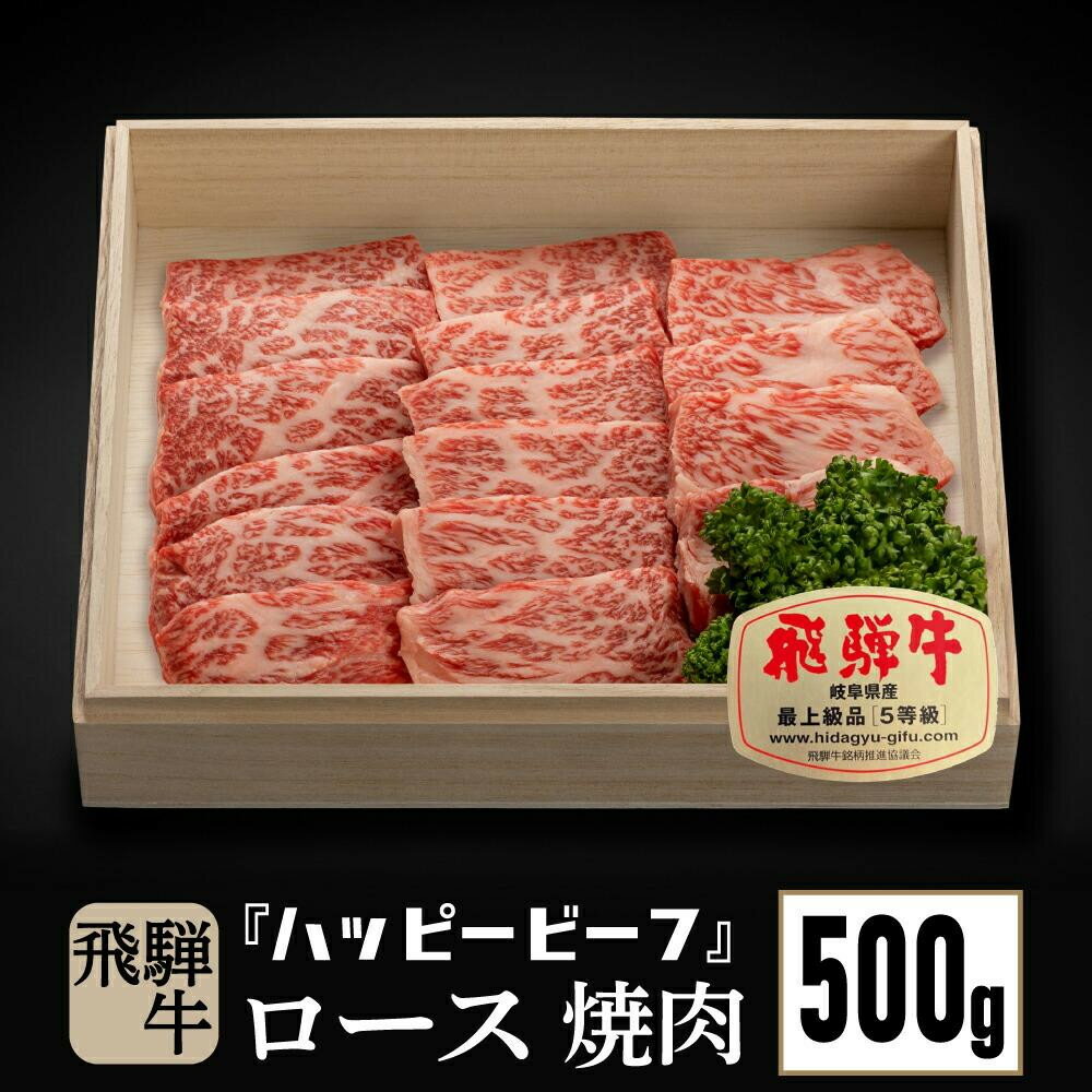 【ふるさと納税】飛騨牛 A5等級 ロース 500g 焼肉 飛騨牛 ブランド牛 A5ランク ハッピープラス 飛騨高山 JQ017