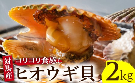 対馬 2枚貝 ヒオウギ 貝 2kg [WAD002] BBQ ひおうぎ貝 新鮮 浜焼き 貝類 