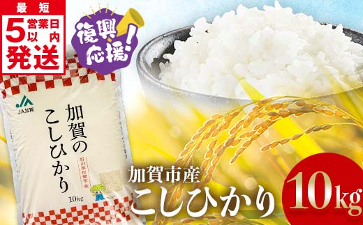 【通常発送】復興応援米 令和7年産こしひかり 10kg(5kg×2袋) 精米 銘柄米 お米 米 ギフト 贈り物 グルメ 食品 復興 震災 コロナ 能登半島地震 復興支援 北陸新幹線 F6P-3207