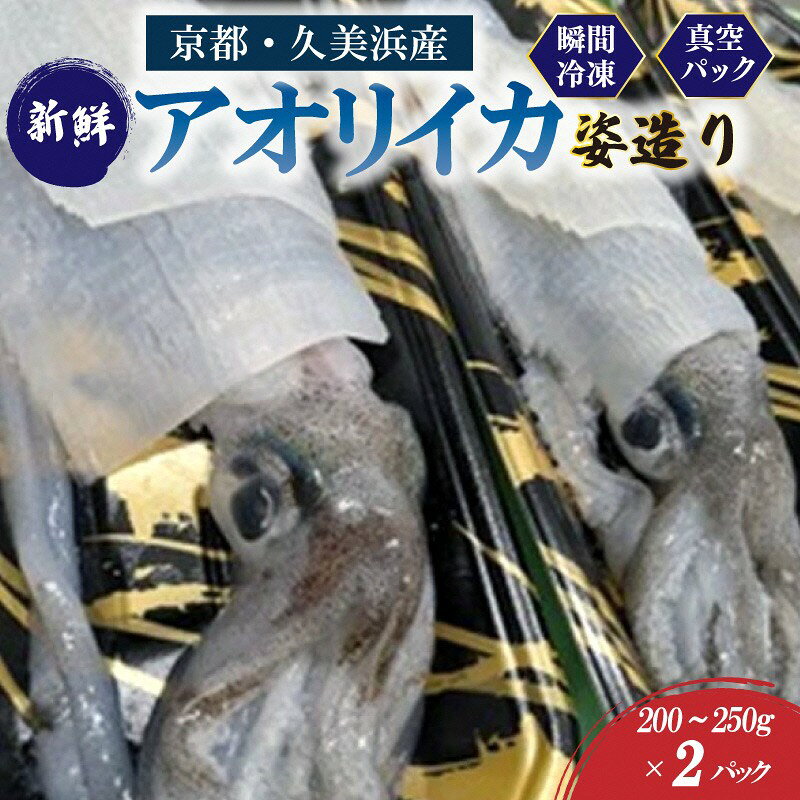 【ふるさと納税】京都・久美浜産 アオリイカの姿造り
