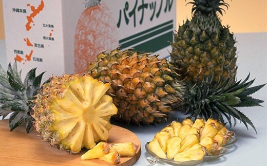 
            【農林水産大臣賞受賞】【予約受付】當銘さんグループのスナックパイン２．２ｋｇ（２玉～５玉）【2026年4月20日より順次発送予定】YK-2
          