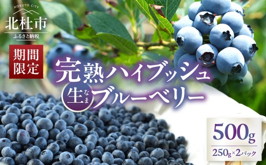 
                  【2027年先行予約】大きく甘い、完熟ハイブッシュブルーベリー 500g（250g×2パック） フルーツ 果物 くだもの 期間限定 数量限定 冷蔵発送 甲斐こまベリーファーム 
                