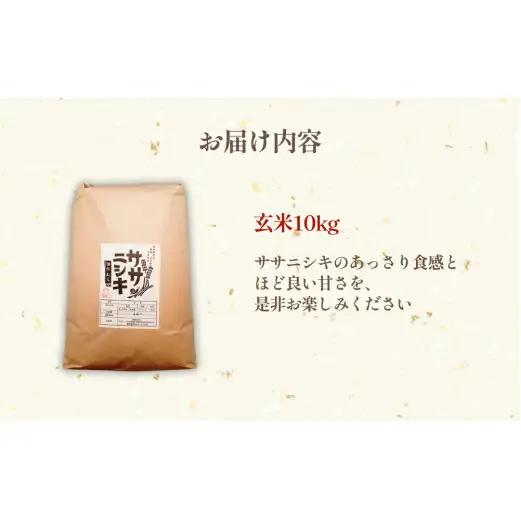 特別栽培米 ササニシキ 玄米 10kg