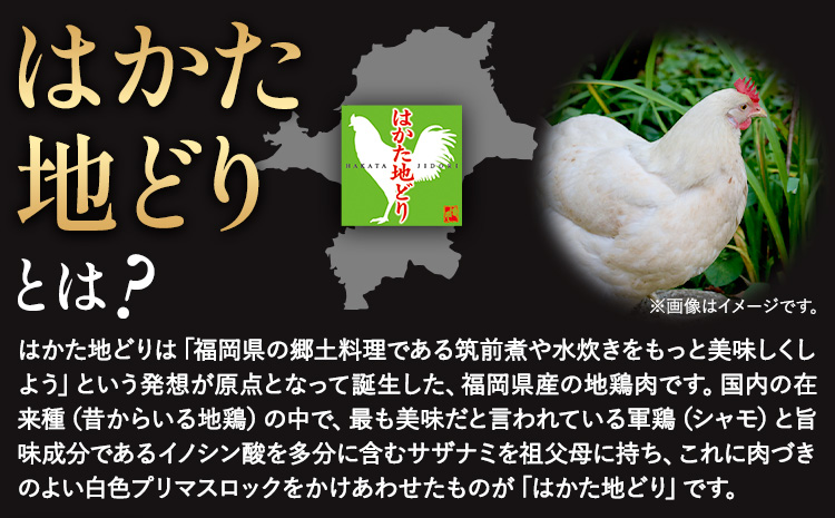 はかた 地どり 炭火焼 セット 500g 株式会社MEAT PLUS《30日以内に出荷予定(土日祝除く)》福岡県 鞍手郡 小竹町 地鶏 はかた地どり 焼き鳥 おかず 惣菜 鶏 鶏肉---sc_fmph