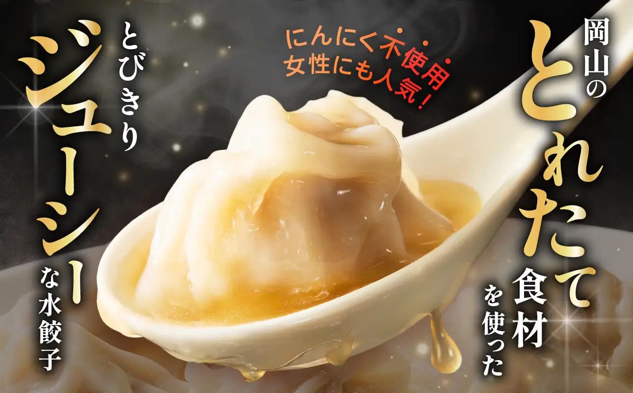 水餃子　満足セット（水餃子20個入（タレ付き）・香味水餃子20個入）