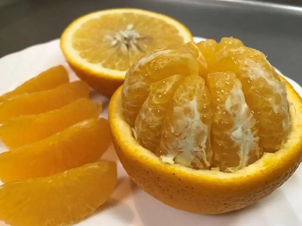 化粧箱 手詰め 有田 はっさく 特秀 小玉 S サイズ × 12玉入 南泰園 みかん