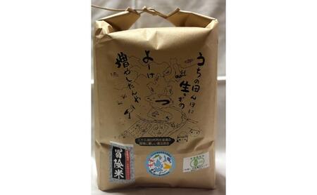 米 定期便 6ヶ月 栽培期間中 無農薬 ミルキークイーン 5kg 米