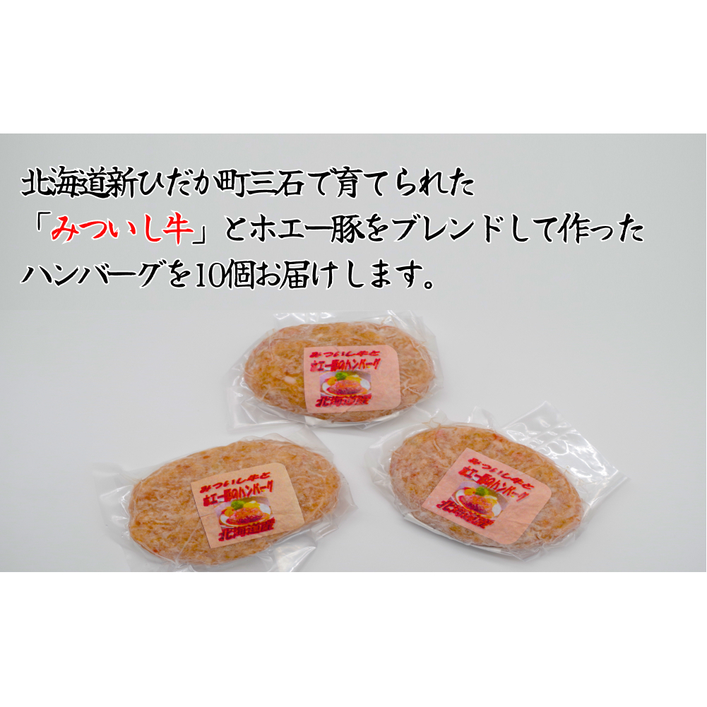 北海道産 黒毛和牛 みついし牛 と ホエー豚 ハンバーグ 計 1kg （ 100g × 10個 ）_イメージ2