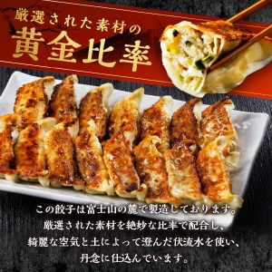 富士山北麓 餃子 60個 ぎょうざ 冷凍 餃子 ギョーザ
