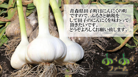 田子産にんにく約1kg（MサイズA～B品）