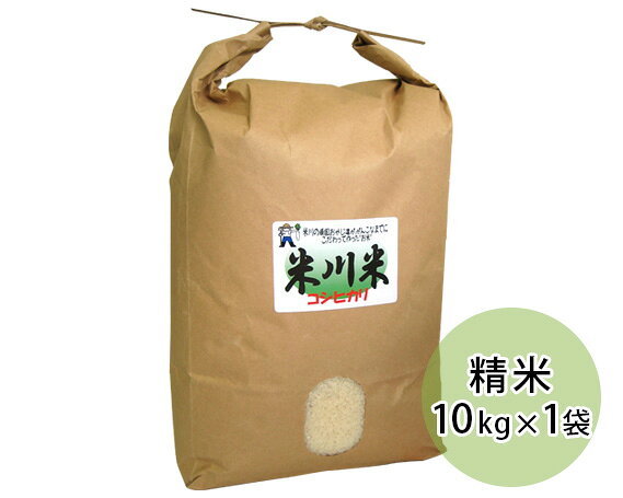 【ふるさと納税】 米川こしひかり　精米　10kg ／ お米 コシヒカリ 白米 希少品 送料無料 山口県 No.018