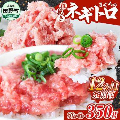 ふるさと納税 田野町 〜四国一小さなまち〜≪カネアリ水産≫まぐろのネギトロ 350g(70g×5パック)★12ヶ月定期便★
