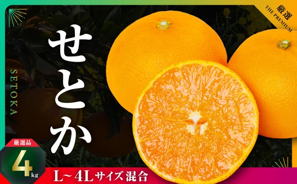 
                  三代目の柑橘の大トロ＜せとか＞4kg　サイズ:L～4L混合＜E31-52＞_みかん ミカン 柑橘 せとか フルーツ くだもの 果物 ふるーつ 青果 果実 人気 甘い ジューシー 産直 産地直送 旬 柑橘類 人気 愛媛 果汁 八幡浜市【1631010】 YWTAC041
                