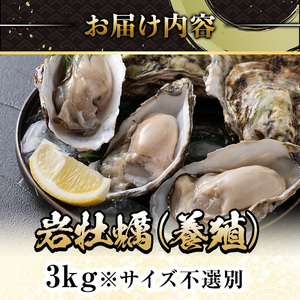 ＜平日着※指定日不可＞＜先行予約受付中！3月中旬～4月下旬発送予定＞岩牡蠣(養殖)サイズ不選別(3kg) 魚介 海鮮 海の幸 かき カキ オイスター 三光水産 養殖 冷蔵 【sm-DD001・sm-D