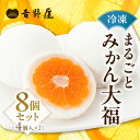 【ふるさと納税】 みかん 大福 4個 ×2 セット まるごと 和菓子 お菓子 菓子 おやつ カフェ スイーツ ご当地 お取り寄せ おみあげ お土産 冷凍 フルーツ 岐阜県 本巣 プレゼント ギフト 日時指定 可 [mt501] 10000円 一万円