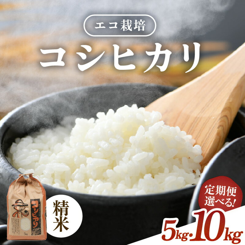 【ふるさと納税】【先行予約】【令和8年産 新米】エコ栽培 コシヒカリ 白米 5kg 10kg（5kg×2） 定期便 3回 6回 12回 ／ 米 お米 5キロ 10キロ 鮮度抜群 福井県産 こしひかり ご飯 新鮮 白米 ※2026年10月上旬より順次発送予定