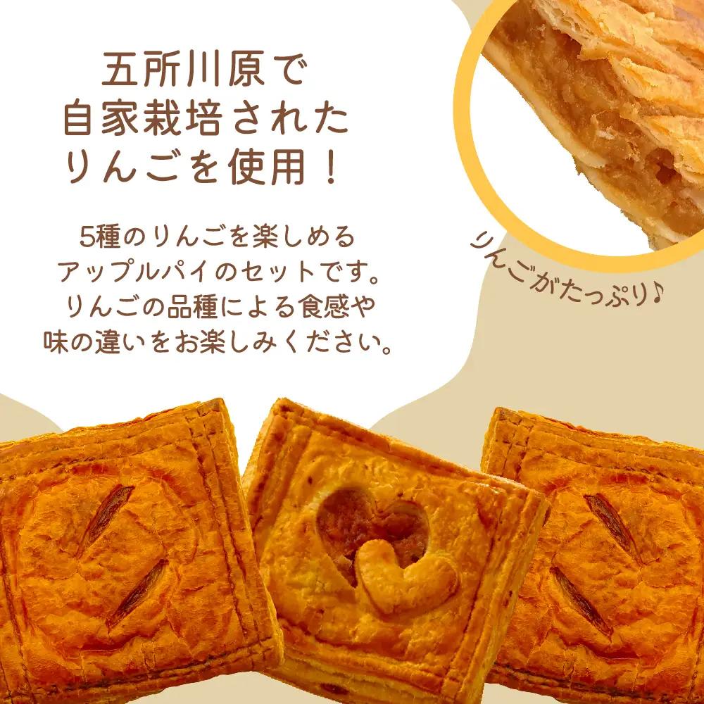 アップルパイ ８個（5種）セット【食べ比べ_個包装_青森りんご_詰合せ_五所川原市】