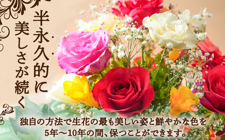 ボトルフラワー R-I 広川町 / 株式会社レンデフロール[AFAW022]