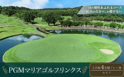 PGMマリアゴルフリンクス 土日祝４名プレー券（セルフ） 【ふるさと納税 ゴルフプレー券 ゴルフ ゴルフ場 プレー券 千葉県 木更津市 送料無料】 KB008