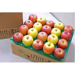 【25年11月出荷予定】糖度13度以上保証! ぐんま名月×シナノスイート 約5kg 訳あり【配送不可地域：離島・沖縄県】【1613011】
