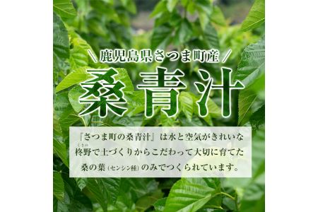 s078 さつま町の桑青汁(100g・50g×2袋)添加物不使用！桑の葉100%の純粋桑青汁【さつま町桑青汁園】