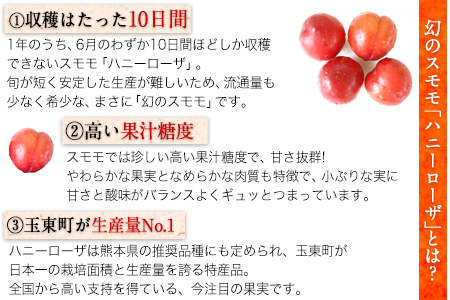 玉東町の自然に育まれたイチゴをジャムに！【ハニーローザ】【イチゴ(ゆうべに)】コンフィチュールセット《60日以内に出荷予定(土日祝除く)》熊本県玉名郡玉東町 ぷらっとぎょくとう 
