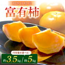 【ふるさと納税】富有柿3.5～5kg （13～24個） 和歌山産≪先行予約2024年10月下旬頃より順次発送分≫ ふるさと納税 柿 富有柿 かき くだもの 果物 フルーツ 予約 先行予約 期間限定 数量限定 送料無料