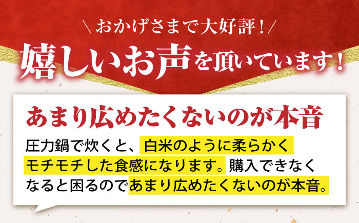 【先行予約】令和7年産 新米 ヒヨクモチ 玄米 15kg【かづやの農園】 [HAP006]