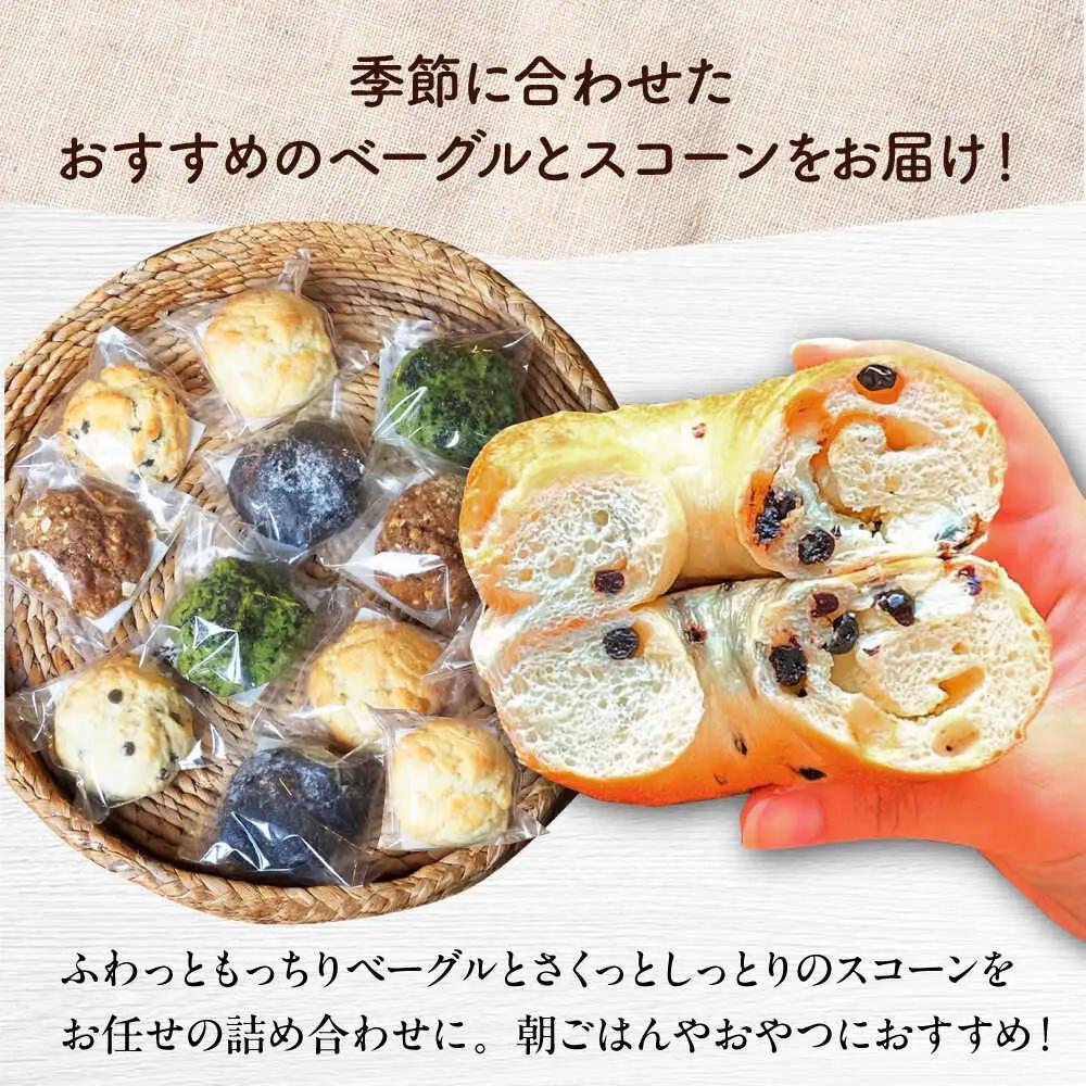 【全3回定期便】厳選おすすめ ベーグル ＆ スコーン 各12個 (24個セット)  BCAE014 パン