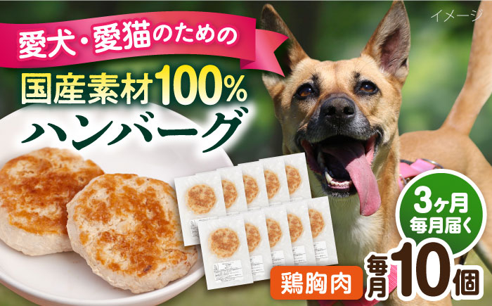 
【全3回定期便】ペットフード 鶏むね 100%ハンバーグ 10個セット ペット 犬 猫 手作り 国産 てづくり こだわり ドッグフード 横須賀 【ペットフードYM japan】 [AKEX007]
