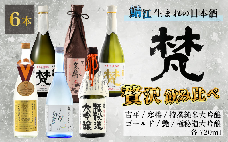 【ふるさと納税】【鯖江の銘酒を贅沢に飲み比べ】【先行予約】【限定120セット】【2025年2月10日～順次発送】世界の梵 日本酒6種飲み比べ