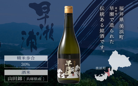 早瀬浦 純米大吟醸 山田錦 720ml × 1本 【入手困難 日本酒 就職祝い 転職祝い ハレの日 ギフト プレゼント お祝い お返し お礼 お中元 お歳暮 父の日 敬老の日 】[m06-c004]