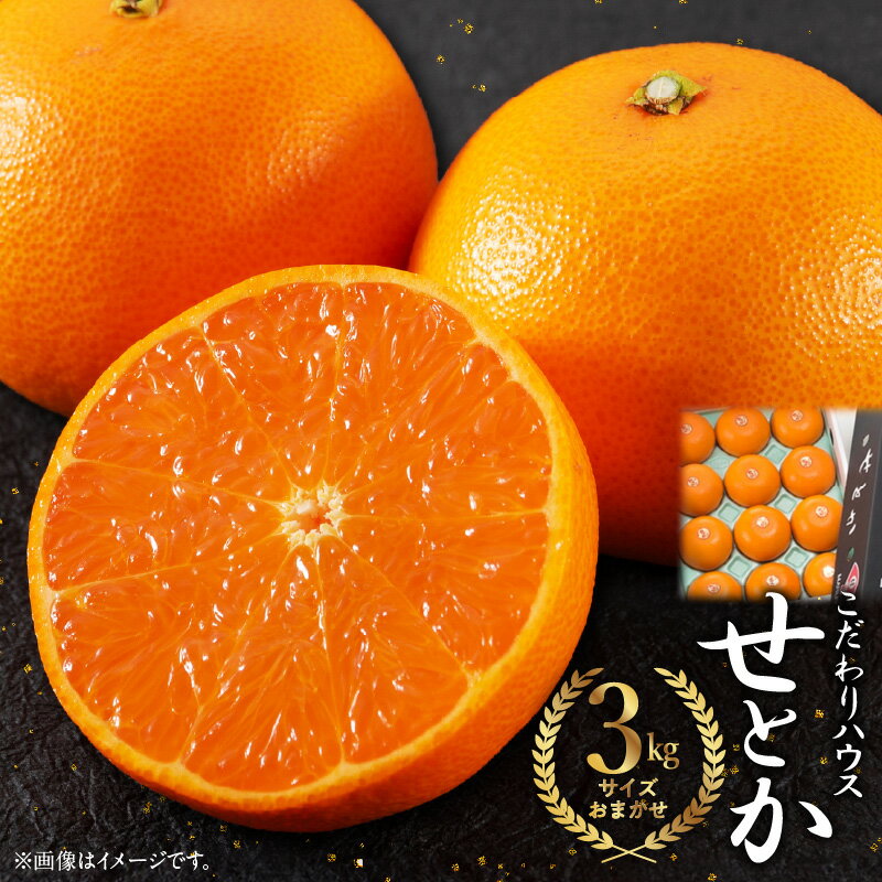 【ふるさと納税】【2026年先行予約】 高評価★4.9 せとか 約 3kg L 〜 3Lサイズ おまかせ ハウスせとか みかん フルーツ 果物 柑橘 果実 果肉 甘い 濃厚 ジューシー フルーティー 国産 食品 マルユー園 お取り寄せ 和歌山県 湯浅町 送料無料