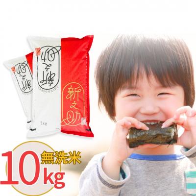 ふるさと納税 三条市 新潟県産 無洗米 新之助 10kg しんのすけ 令和7年産 [株式会社白熊]【018S043】