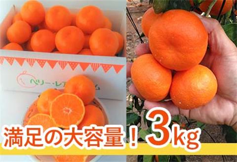 『先行予約』【令和8年11月発送】山下紅みかん(ハウス栽培) 唐津産 3kg ミカン 蜜柑 果物 フルーツ