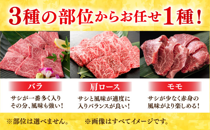 艶さし！ 佐賀牛 焼肉用 500g 吉野ヶ里町 [FDB008]