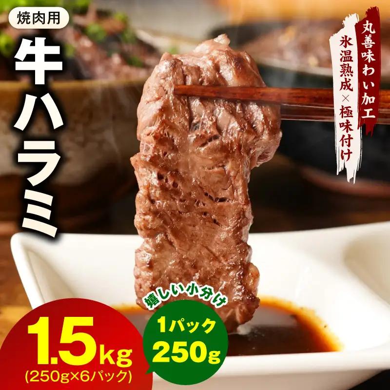 牛肉 ハラミ 1.5kg 小分け 250g×6P 氷温熟成×極味付け